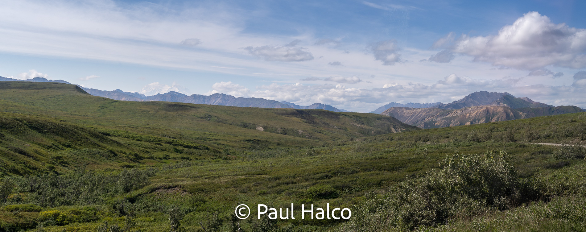 Paul Halco - Denali NP-21